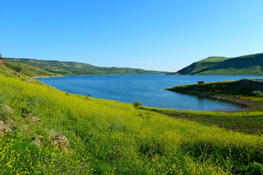 Hanak Ardahan konum haritasi