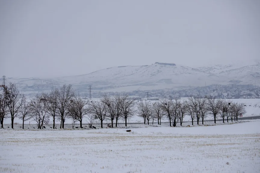 Ardahan konum haritasi
