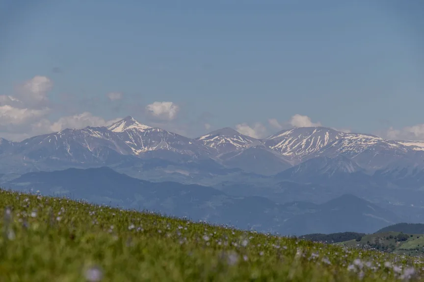 Ardanuç Artvin konum haritasi