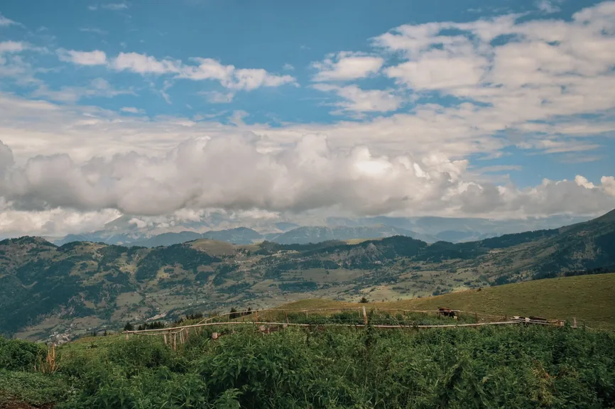 Yusufeli Artvin konum haritasi