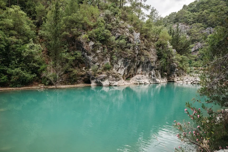 Didim Aydın konum haritasi