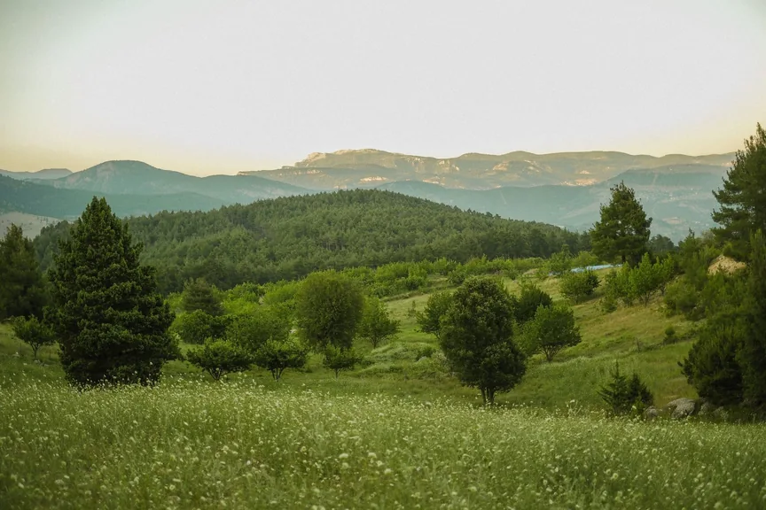 Koçarlı Aydın konum haritasi