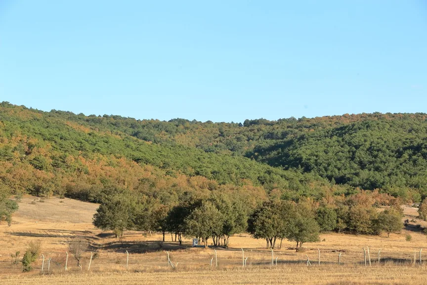 Sındırgı Balıkesir konum haritasi
