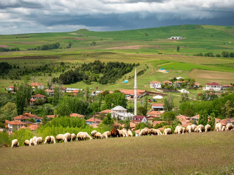 Pazaryeri Bilecik konum haritasi