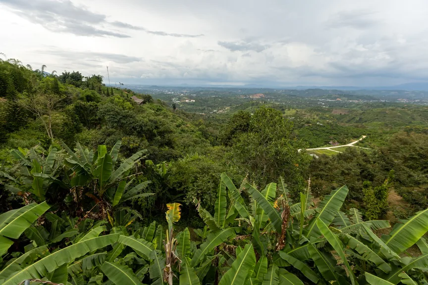 Adaklı Bingöl ilcesi genel gorunum