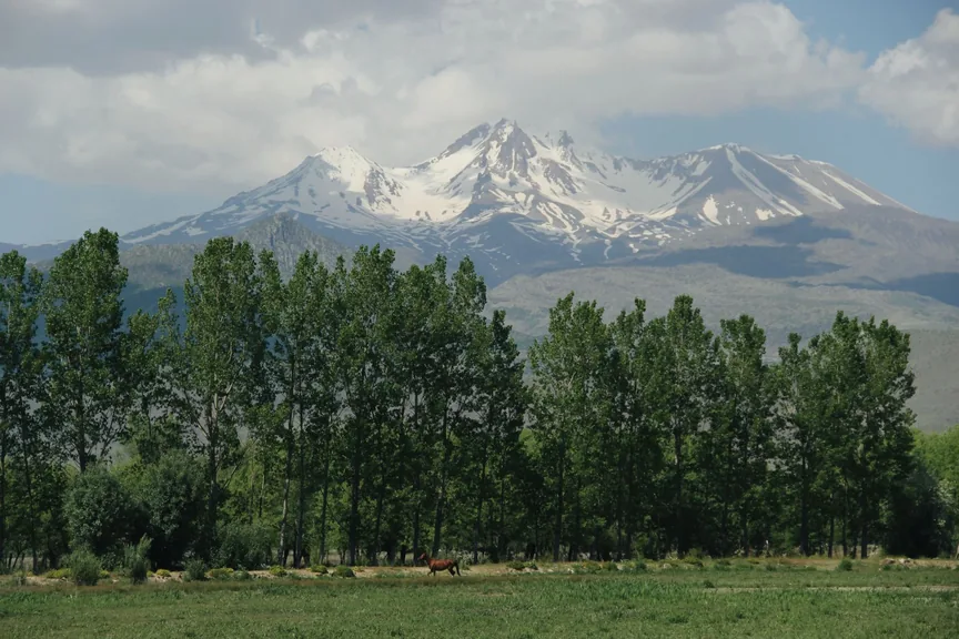 Adilcevaz Bitlis konum haritasi