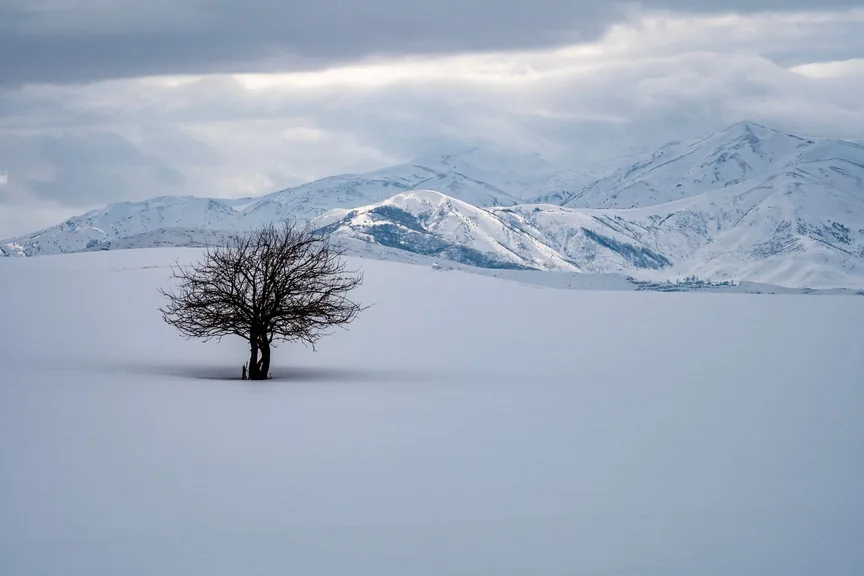 Tatvan Bitlis konum haritasi