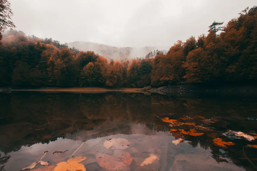 Bolu konum haritasi