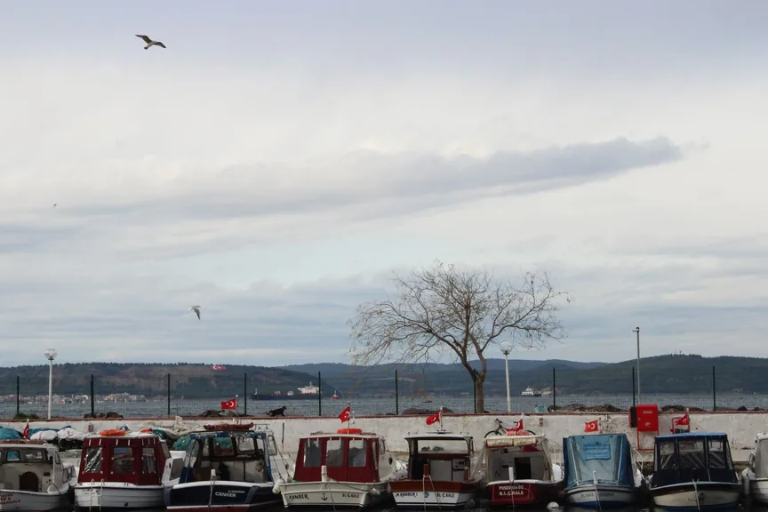 Ayvacık Çanakkale konum haritasi