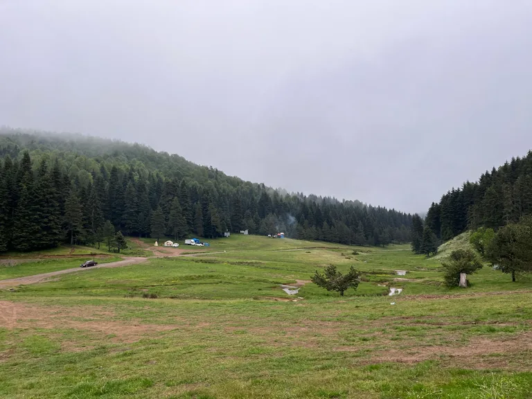 Düzce konum haritasi