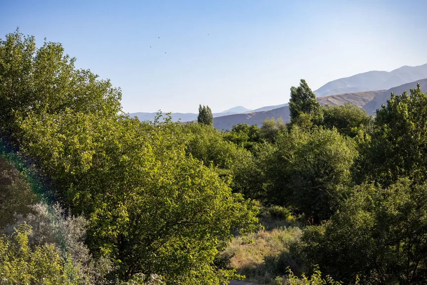 Palu Elazığ konum haritasi
