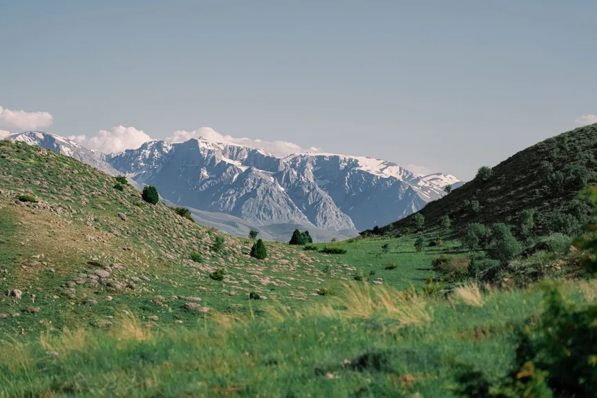 Tercan Erzincan konum haritasi