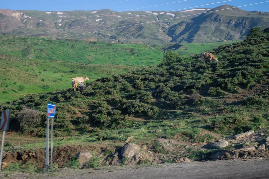 Oltu Erzurum konum haritasi
