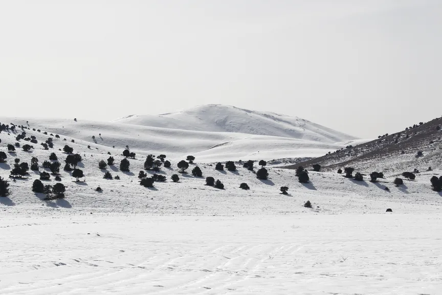 Palandöken Erzurum konum haritasi