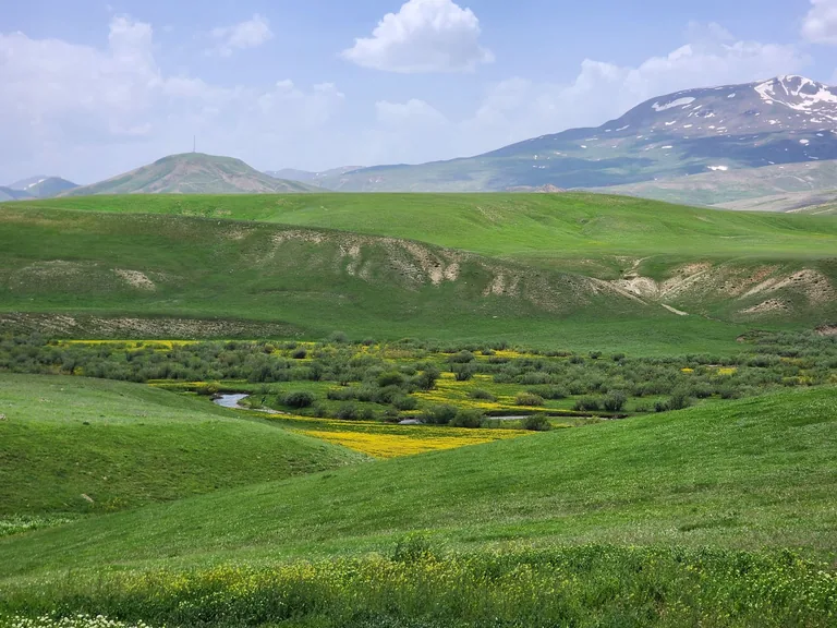 Erzurum konum haritasi
