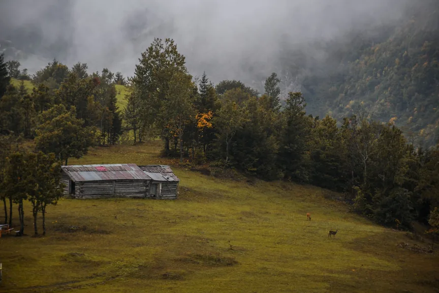 Bulancak Giresun konum haritasi