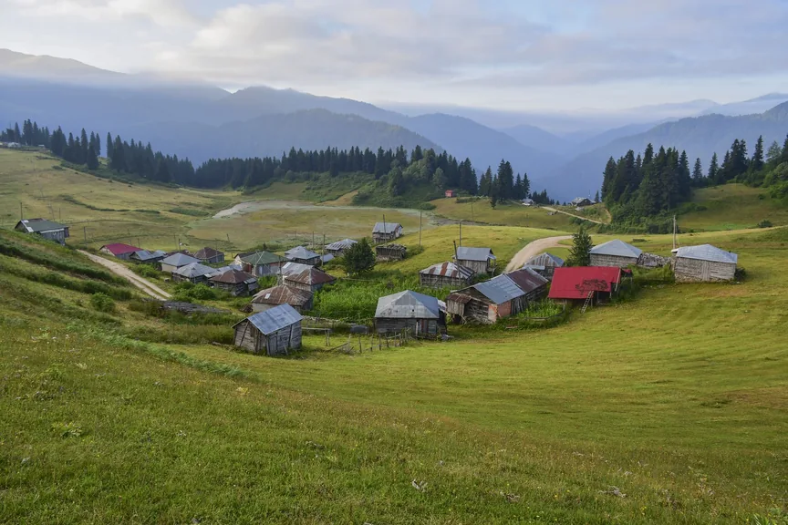 Espiye Giresun konum haritasi