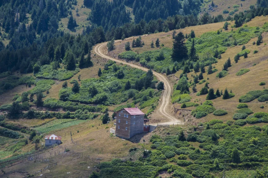 Görele Giresun konum haritasi