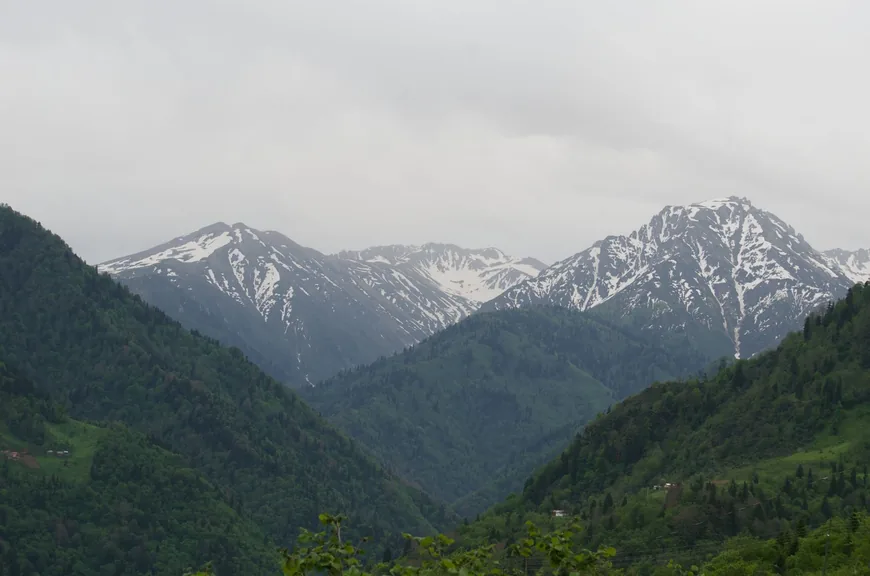 Keşap Giresun konum haritasi