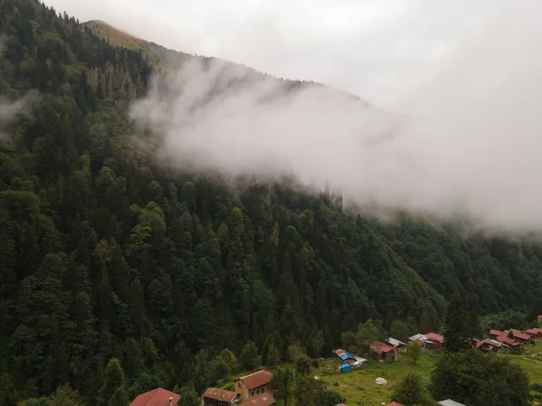 Merkez Giresun konum haritasi