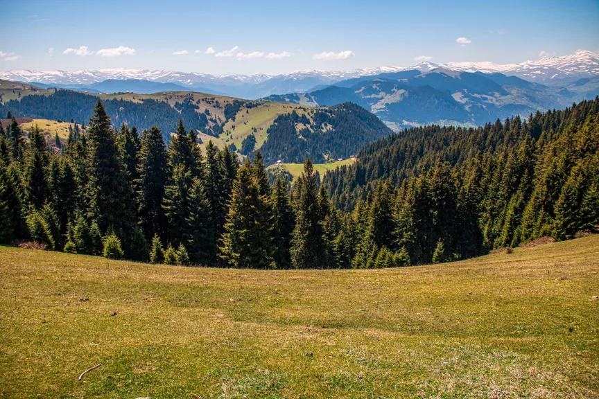 Piraziz Giresun konum haritasi