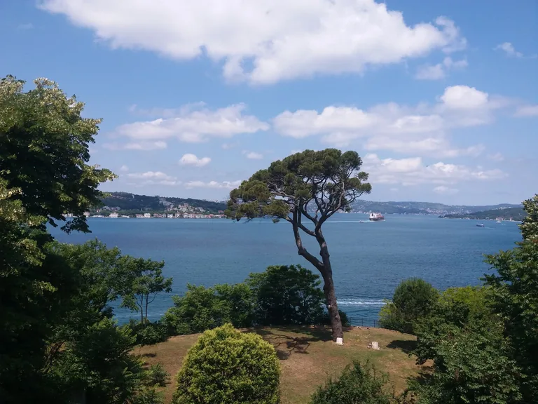 Güngören İstanbul konum haritasi