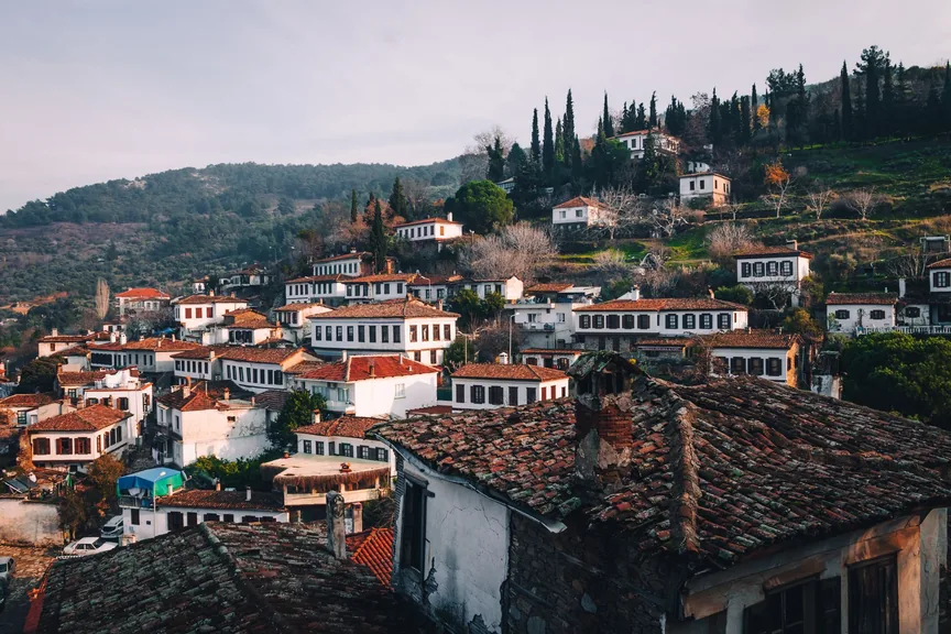 Bergama İzmir konum haritasi