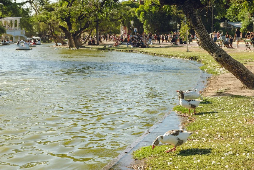 Karşıyaka İzmir ilcesi genel gorunum