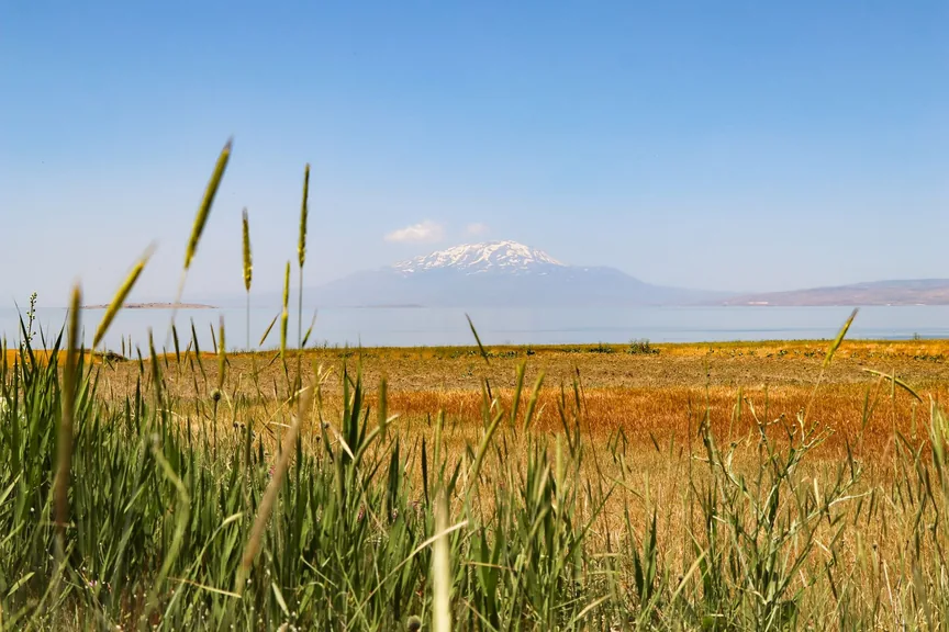 Akyaka Kars konum haritasi