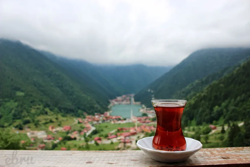 Daday Kastamonu konum haritasi