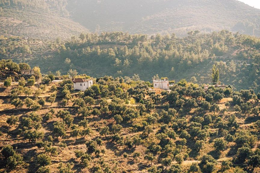 Lefkosa Kibris konum haritasi