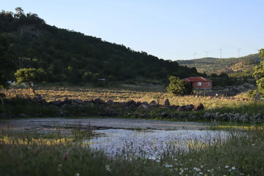 Saruhanlı Manisa konum haritasi