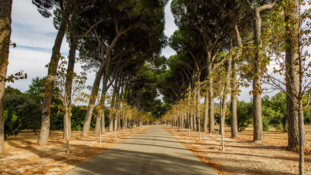 Mezitli Mersin ilcesi genel gorunum