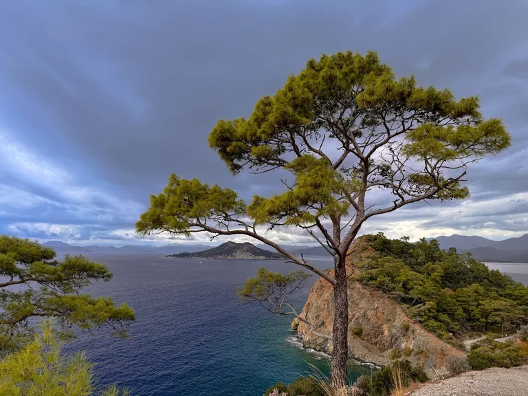 Ula Muğla konum haritasi