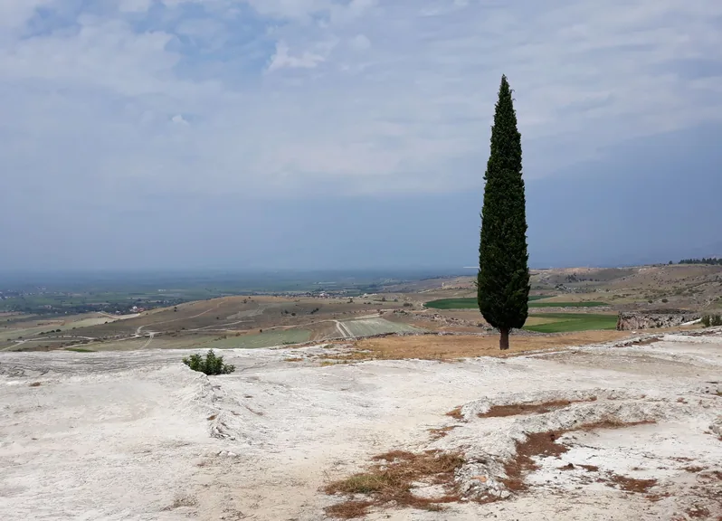 Malazgirt Muş konum haritasi