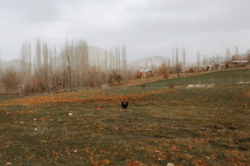 Çiftlik Niğde konum haritasi