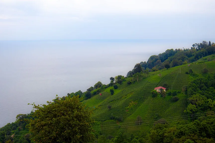 Mesudiye Ordu konum haritasi