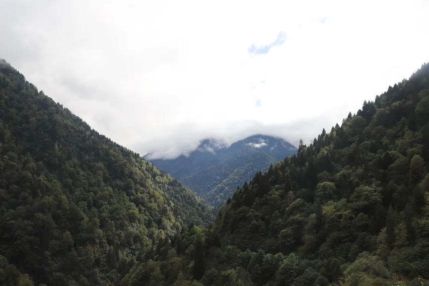 Derepazarı Rize konum haritasi