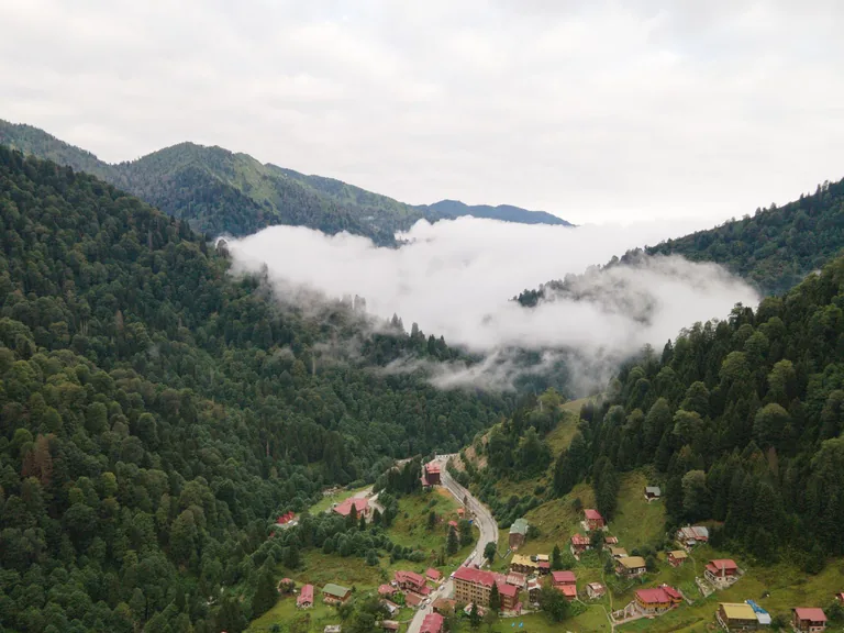 Güneysu Rize konum haritasi