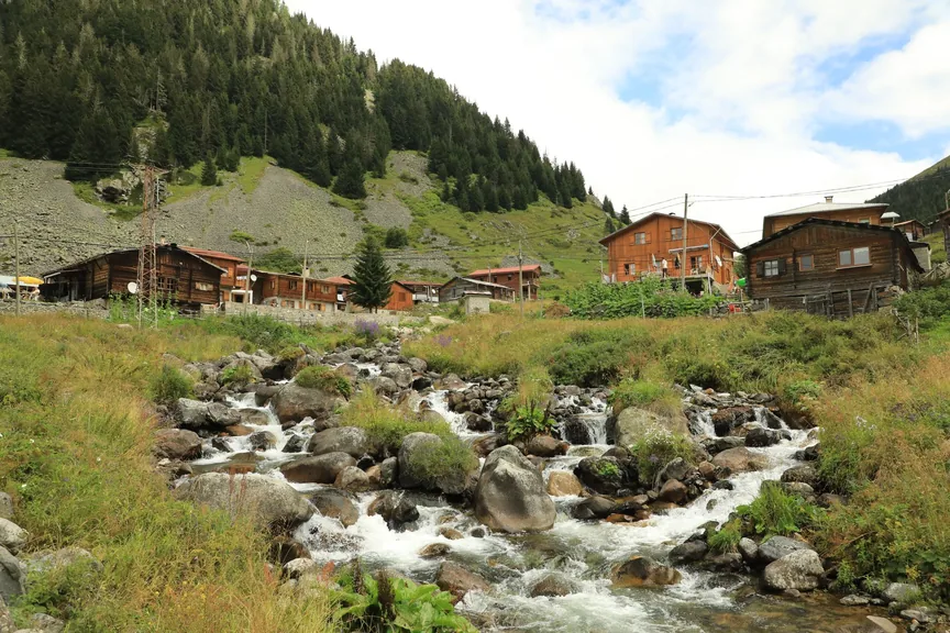 İyidere Rize konum haritasi