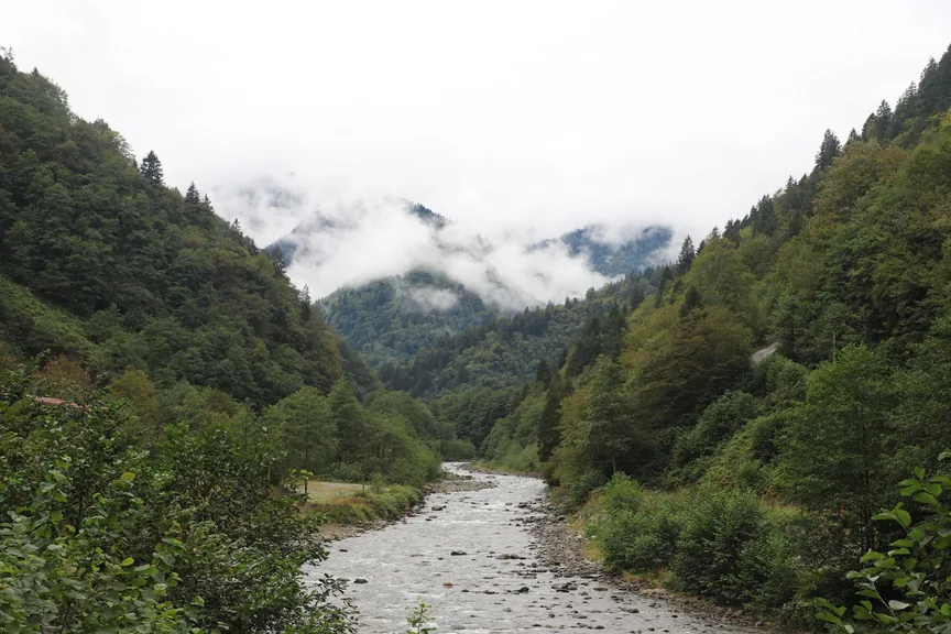Merkez Rize konum haritasi