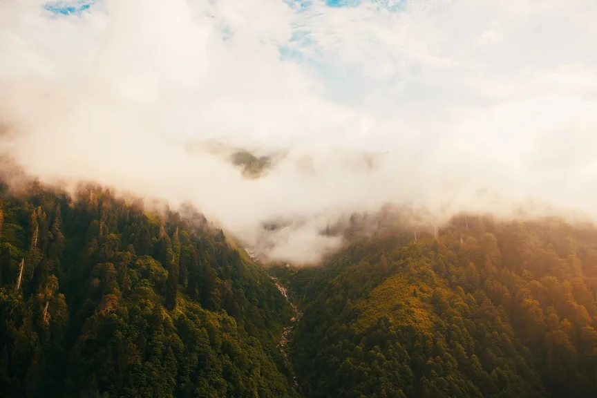 Rize konum haritasi