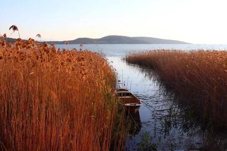 Sapanca Sakarya konum haritasi