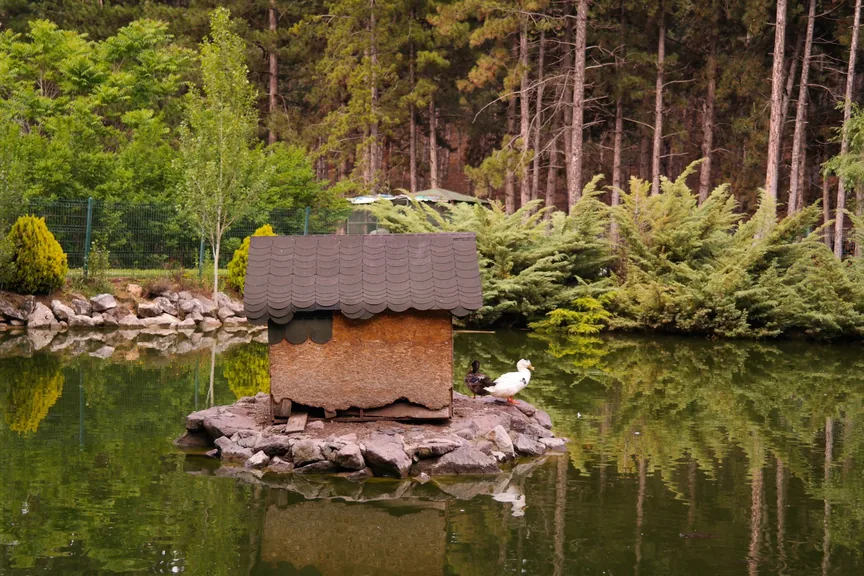Serdivan Sakarya konum haritasi
