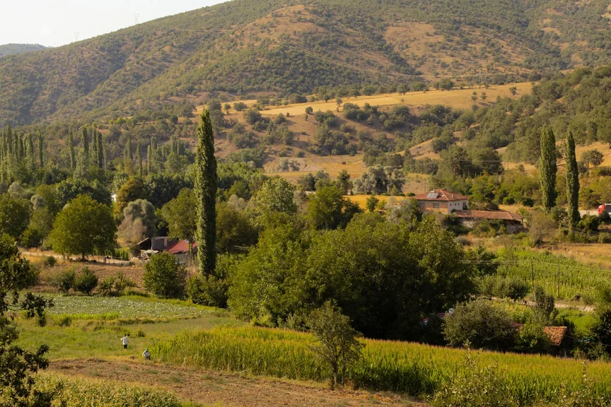 Niksar Tokat konum haritasi
