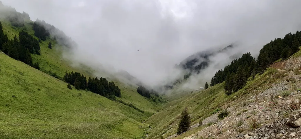 Arsin Trabzon konum haritasi