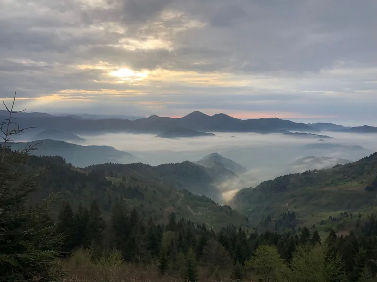 Hayrat Trabzon konum haritasi