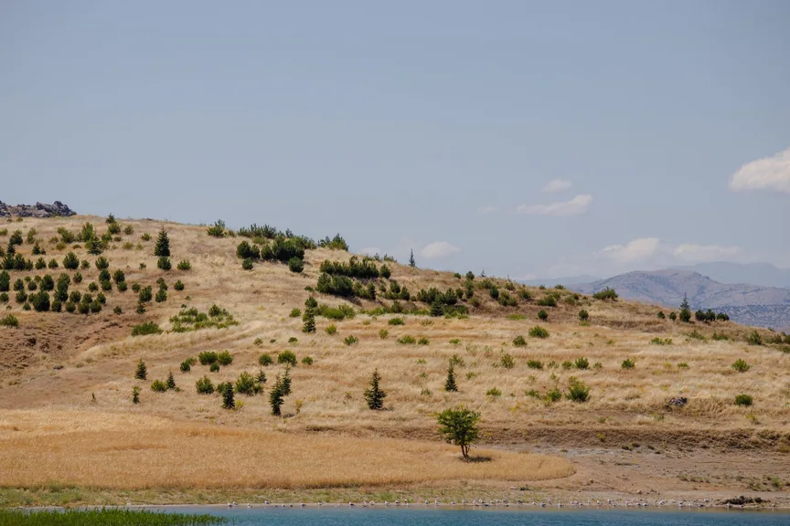 Pertek Tunceli konum haritasi