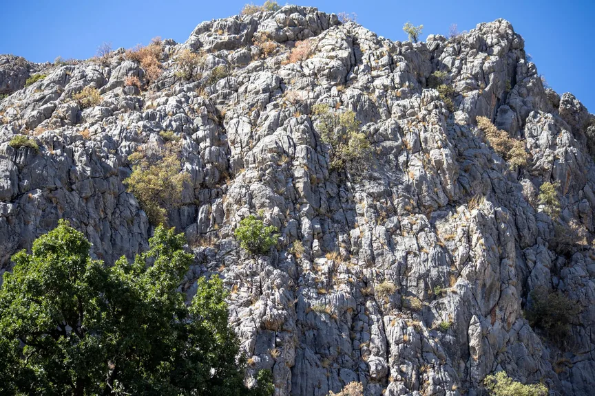 Pülümür Tunceli konum haritasi